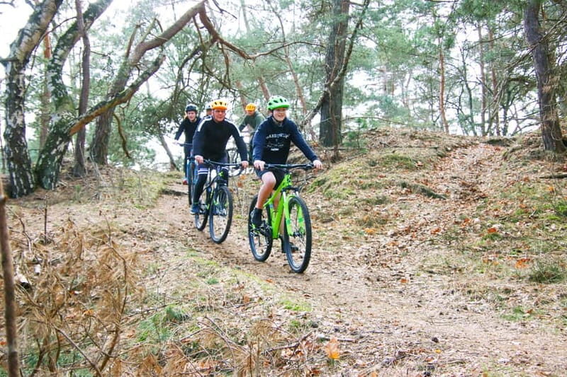 Harderwijk: Mountain Bike Rental on the Veluwe - Key Points