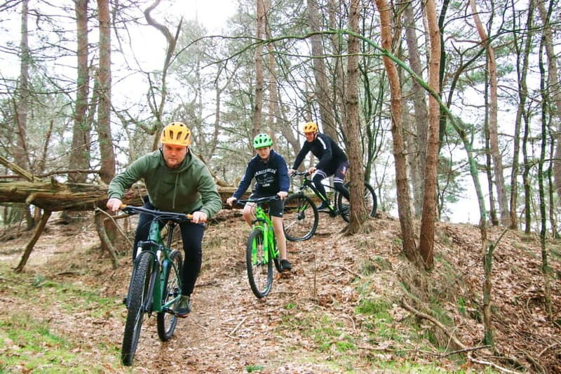 Harderwijk: Mountain Bike Rental on the Veluwe - Exploring the Veluwe on Two Wheels