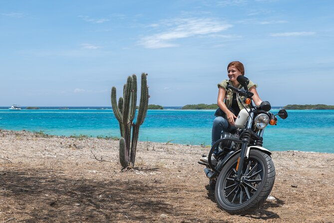 harley-davidson-rentals-only-4-hrs