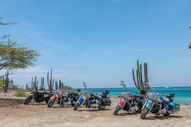harley-davidson-rentals-only-4-hrs