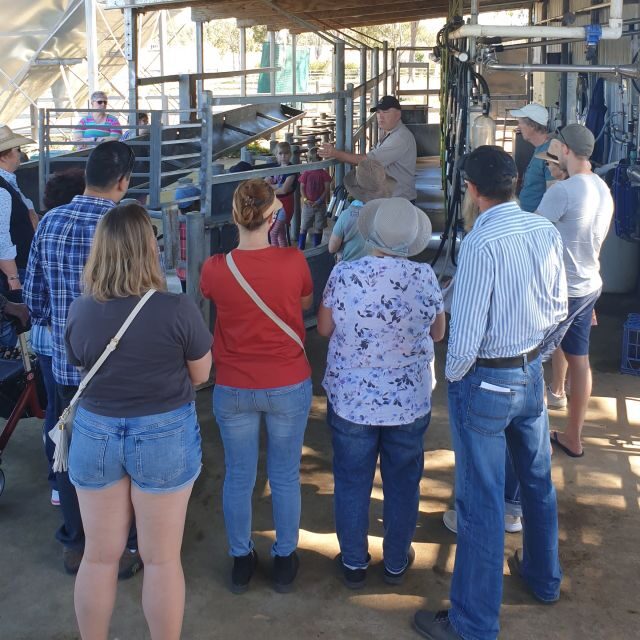 Harrisville: Summer Land Camel Farm Tour with Tasting - Key Points