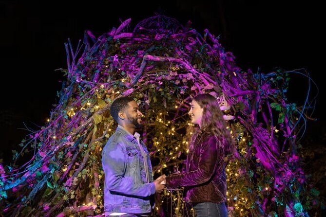 Harry Potter A Forbidden Forest Experience in Brisbane Australia - Who Will Love This Experience?