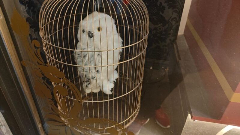 harry-potter-in-london-private-walking-tour