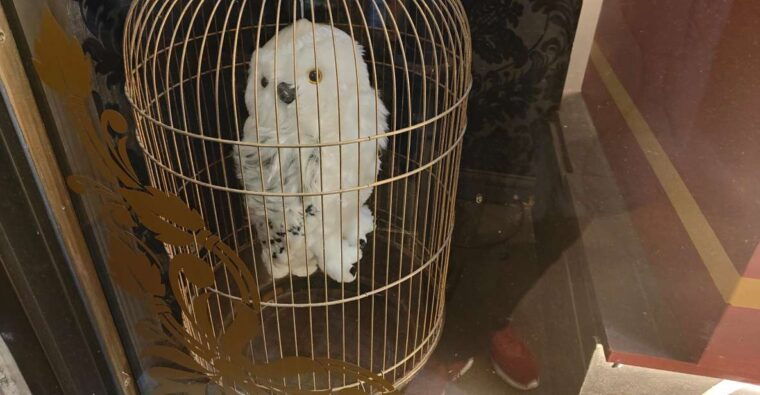 harry-potter-in-london-private-walking-tour