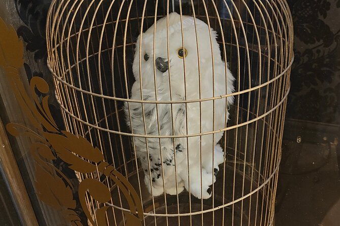 harry-potter-in-london-private-walkingtour