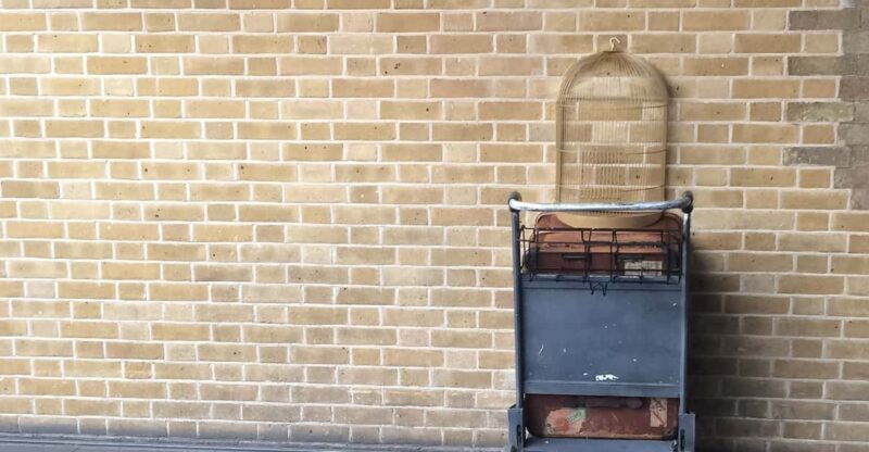 harry-potter-private-tour-of-london-in-spanish