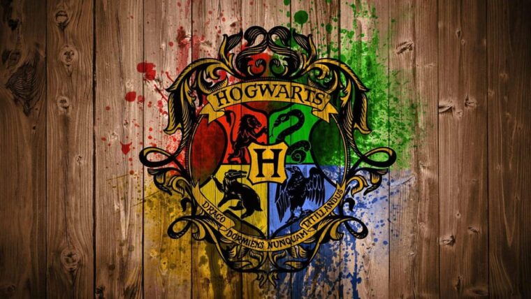 harry-potter-private-tour-of-london-in-spanish