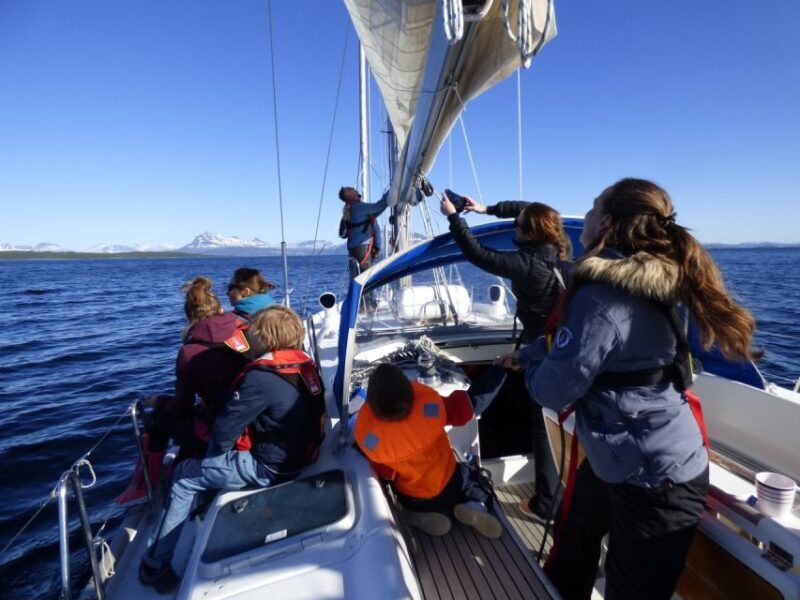 Harstad: Fjordcruise sailing with skipper - The Experience: What to Expect from the Harstad Fjordcruise