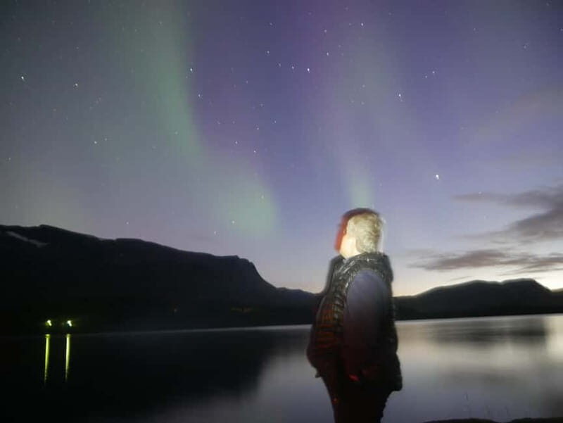 Harstad/Narvik: Northern Lights Tours with second day chance - Authentic Experiences from Guest Reviews