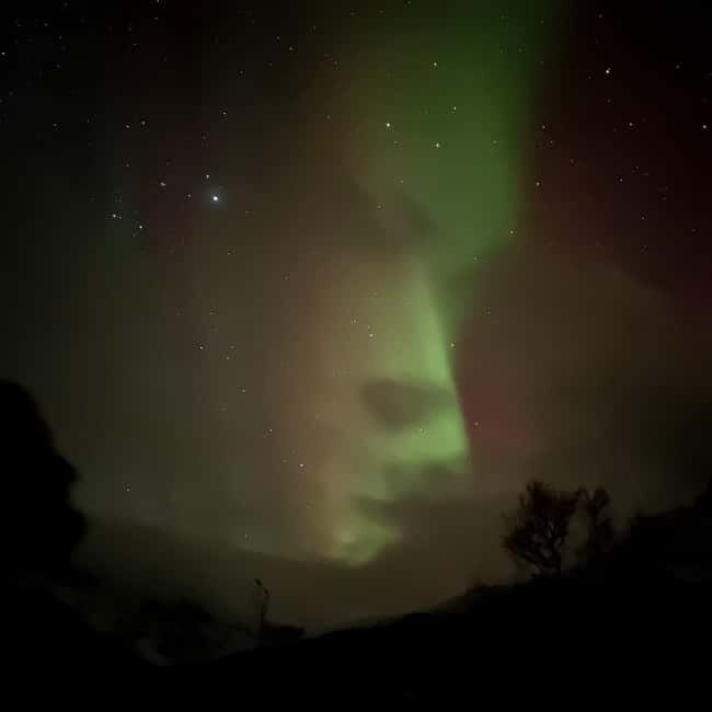 Harstad/Narvik: Northern Lights Tours with second day chance - The Sum Up