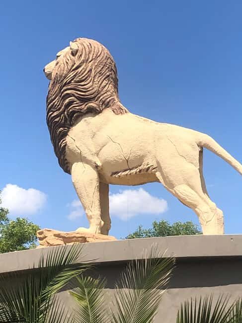 Hartbeespoort: Lesedi Village and Lion & Safari Park Tour - FAQ