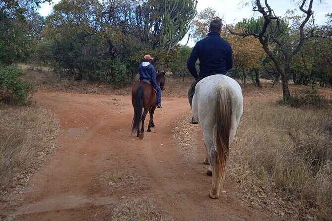Harties Horse Trail Safari Half day - Key Points