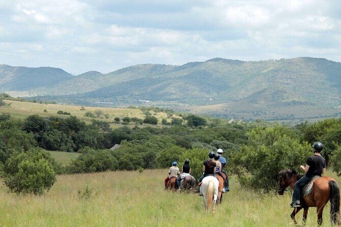 Harties Horse Trail Safari Half day - An Unusual Take on a South African Safari