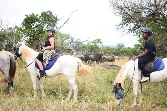Harties Horse Trail Safari Half day - Who Should Consider This Tour?