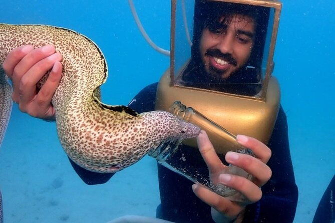 hartley-helmet-diving-in-bermuda