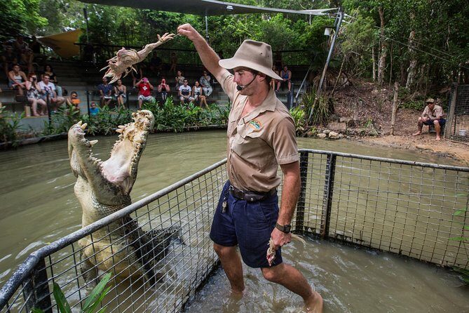 Hartley's Crocodile Adventures Day Trip from Palm Cove - What to Expect at Hartleys Crocodile Adventures from Palm Cove