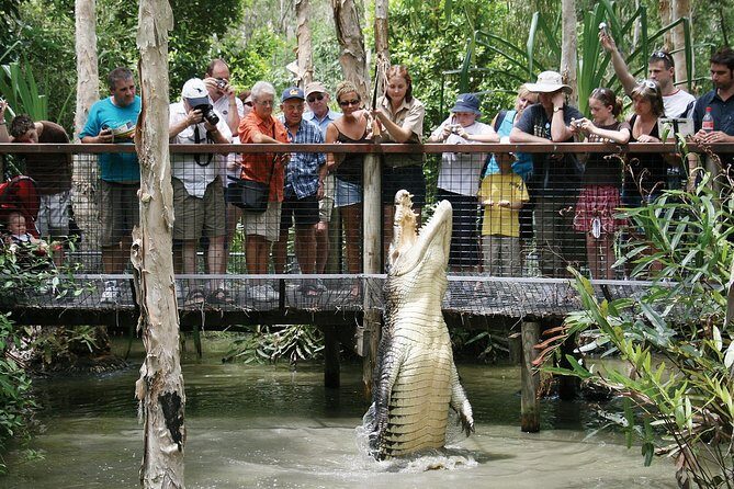 Hartleys Crocodile Adventures Half-Day Tour from Cairns - Introduction: An Exciting Close-Up with Crocodiles and Wildlife in Tropical North Queensland