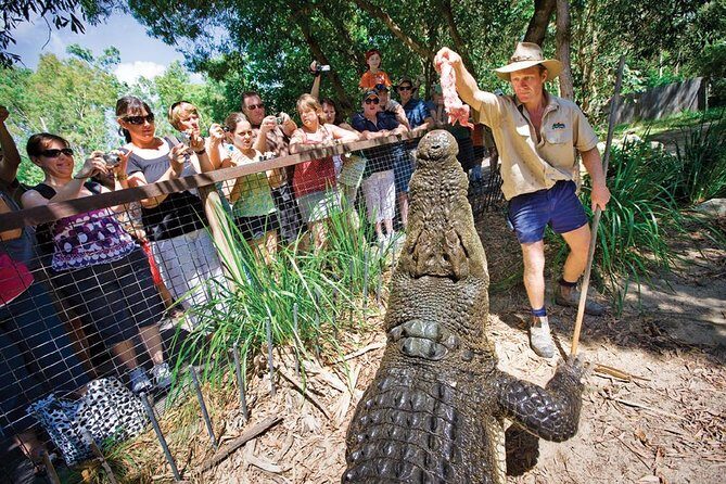 Hartleys Crocodile Adventures Half-Day Tour from Cairns - The Experience from the Reviews: What Travelers Say