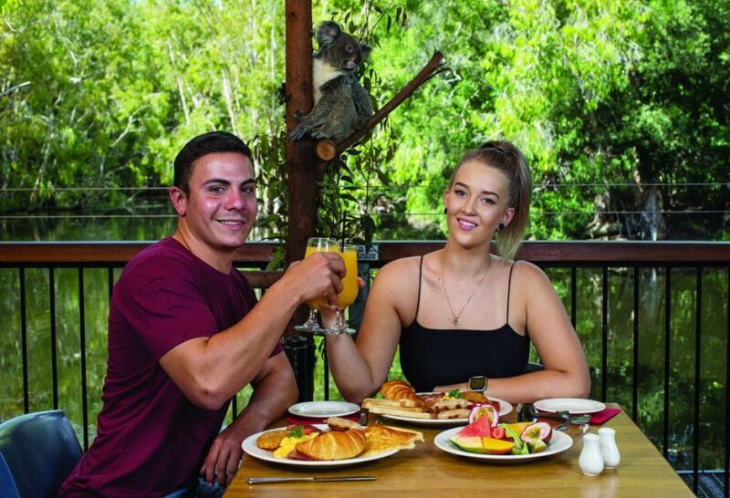 Hartley's Crocodile Adventures: Hartley's Koala Breakfast - A Closer Look at the Experience