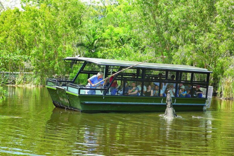 Hartley's Crocodile Adventures Park Entry - A Closer Look at What Hartleys Crocodile Adventures Offers