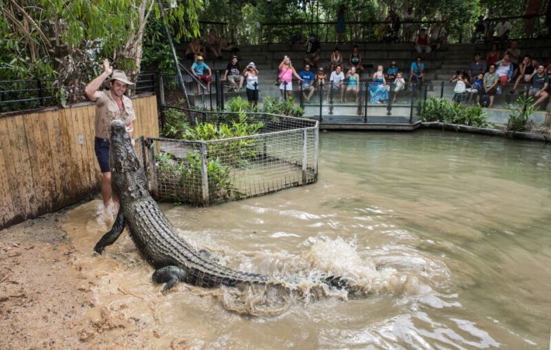 Hartley's Crocodile Adventures Park Entry - Who Should Visit Hartleys Crocodile Adventures?