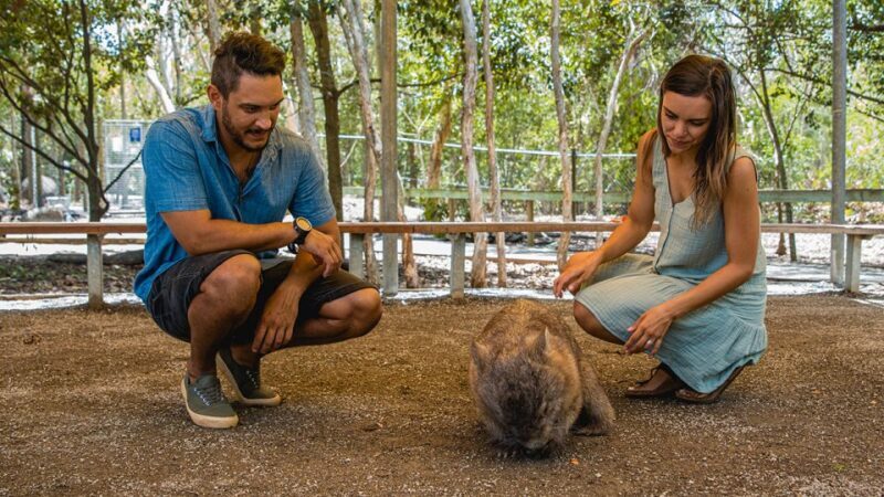 Hartley's Crocodile Adventures: Zootastic 5 + Entry Ticket - Exploring Hartleys Crocodile Adventures: Zootastic 5 + Entry Ticket