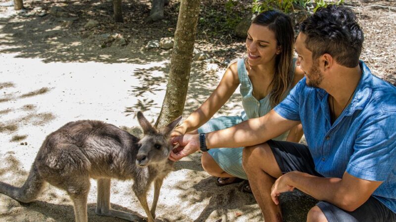 Hartley's Crocodile Adventures: Zootastic 5 + Entry Ticket - Final Thoughts