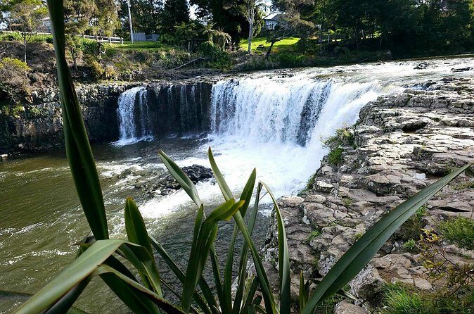 Haruru Waterfalls and Glow Worm Caves Tour - The Sum Up: Why this tour is worth considering