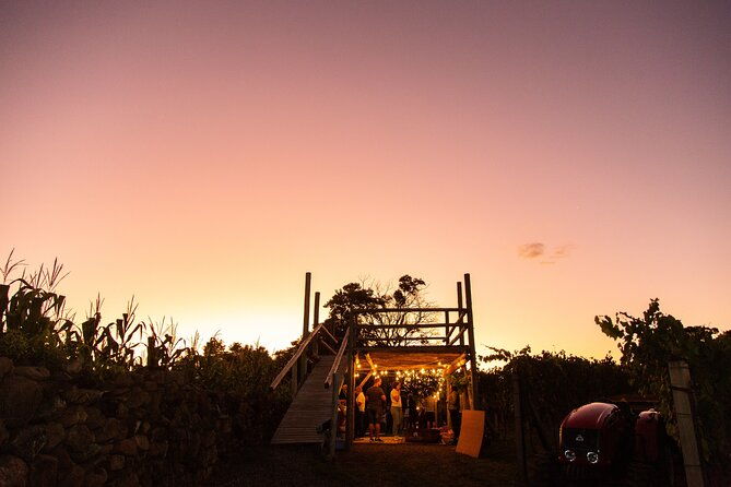 harvest-evening-grape-pisa-at-vinhos-cristofoli