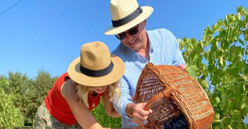 harvest-stomping-tours