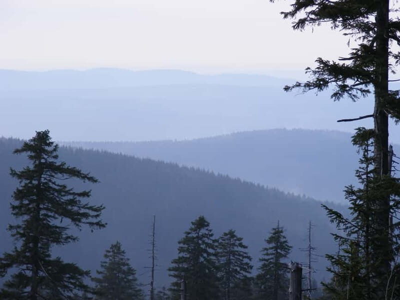 Harz Mountains Day Trip - Moorland Hike at Torfhaus