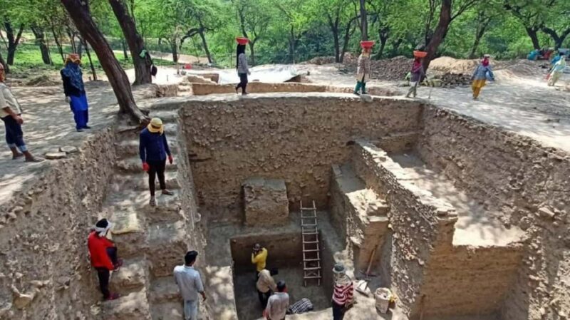 Hastinapur Tour 4 Night 5 Days - Transportation, Guides, and Group Dynamics