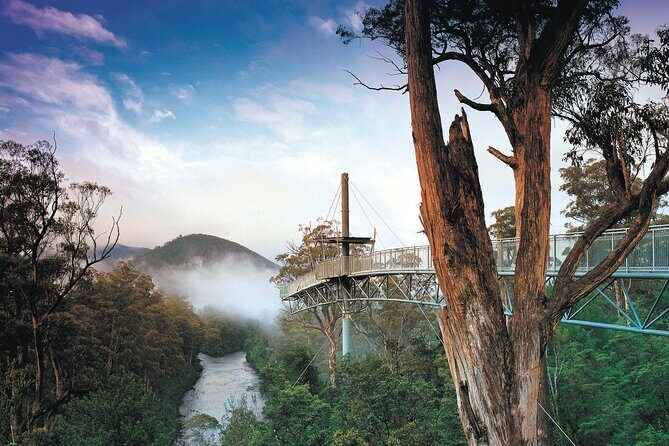 Hastings Caves, Tahune Airwalk and the Huon Tasting Trail - The Tasting Finale at a Local Cider Producer
