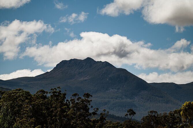 Hastings Caves, Tahune Airwalk and the Huon Tasting Trail - The Experience’s Strengths