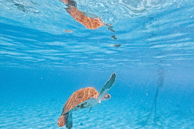 hato-caves-turtles-beach