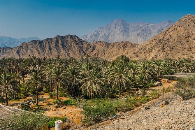Hatta Mountain Tour - The Sum Up: Who Is This Tour Perfect For?