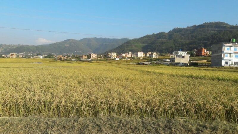 hattiban-champadevi-day-hiking-tour