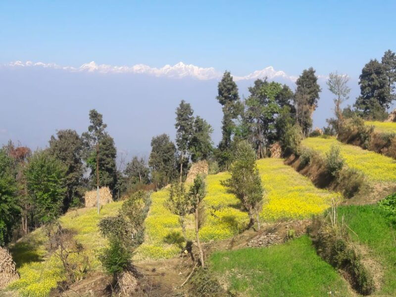 hattiban-champadevi-day-hiking-tour