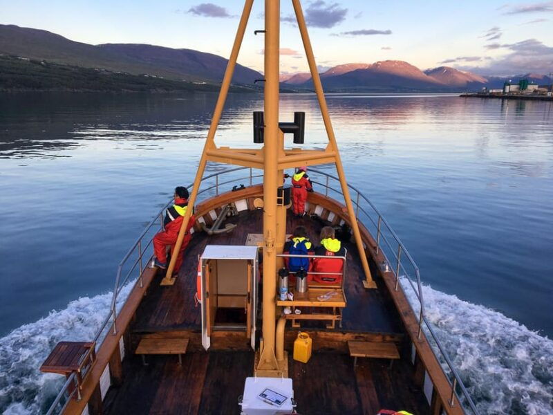 hauganes-whale-watching-north-iceland