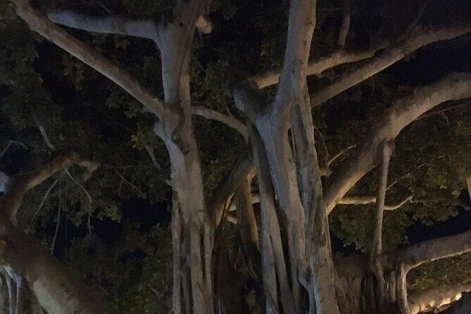 Haunted History of Fort Myers Walking Tour - Frequently Asked Questions