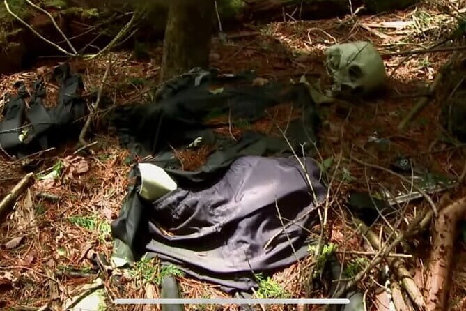 Haunted Hospital for Bravest Ghost Hunters & Forest of Silence - Practical Aspects of the Tour