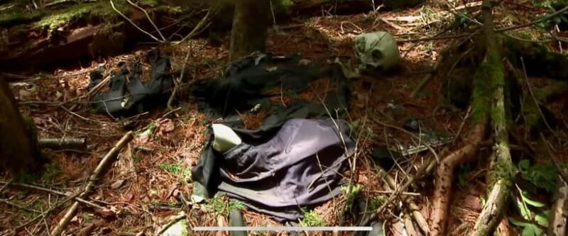 Haunted Hospital for Bravest Ghost Hunters & Silent Forest - Final Thoughts