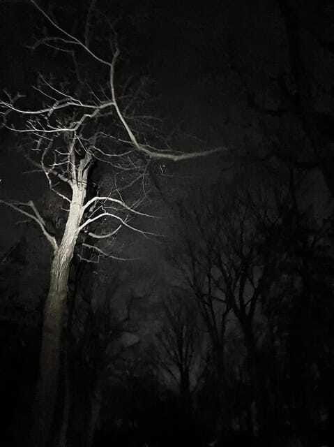 haunted-mountain-ghost-walking-tour
