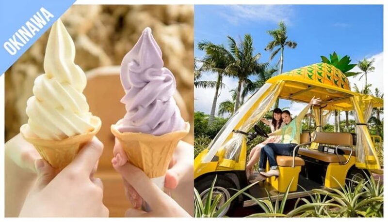 Have Fun in OKINAWA Pass (1 Week Free Pass) - Key Points