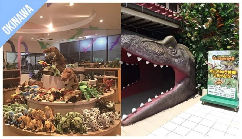 Have Fun in OKINAWA Pass (1 Week Free Pass) - Practical Details: What You Need to Know