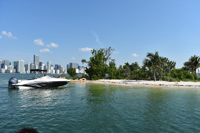 have-the-best-time-in-miami-aboard-our-searay