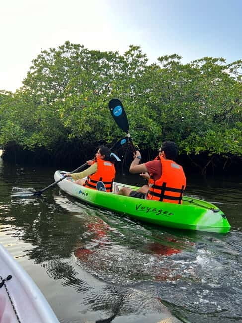 Havelock: Bioluminescence and Mangrove Kayaking Tour - An In-Depth Look at the Havelock Bioluminescence and Mangrove Kayaking Tour