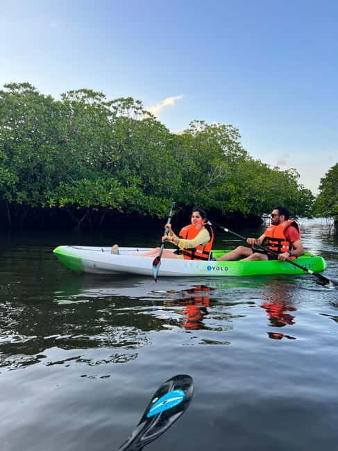 Havelock: Bioluminescence and Mangrove Kayaking Tour - Who Will Love This Tour?