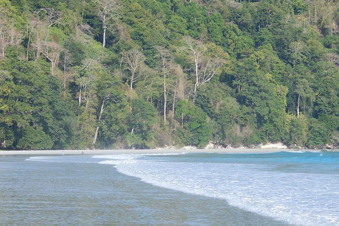 Havelock Island Day Trip from Port Blair - Who Should Consider This Tour?