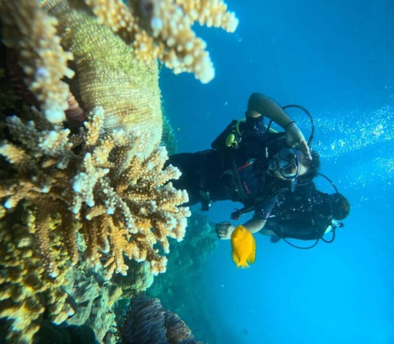 Havelock Island: Tribe Gate Boat Dive with Instructor - What to Expect from the Tribe Gate Boat Dive